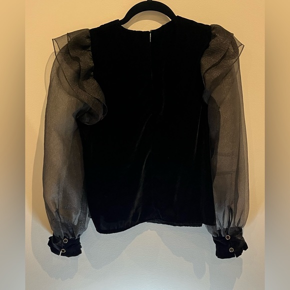 Zara velvet and mesh top - Picture 2 of 6